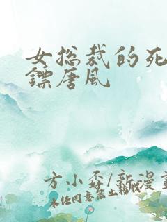 女总裁的死神保镖唐风