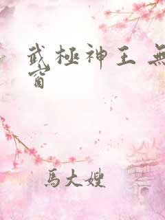 武极神王 无弹窗