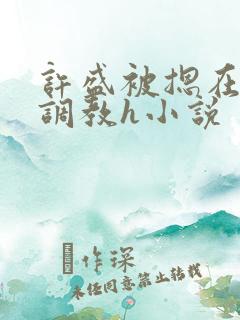 许盛被摁在床下调教h小说