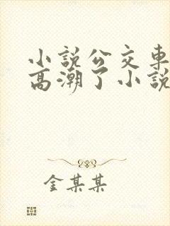 小说公交车被上高潮了小说