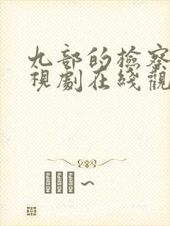 九部的检察官电视剧在线观看免费版