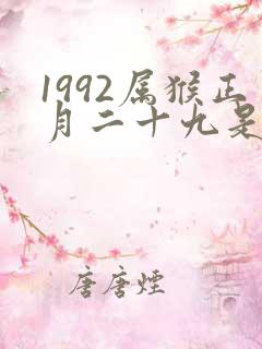 1992属猴正月二十九是什么命