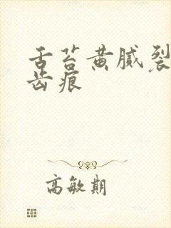 舌苔黄腻裂纹有齿痕