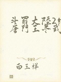 斗罗大陆2绝世唐门王冬武魂