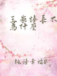 玉米棒长不满粒为什么
