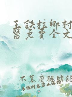 王铁柱乡村小神医免费全文