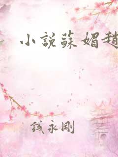 小说苏媚赵大宝