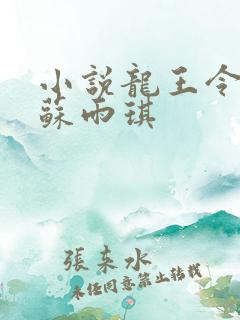 小说龙王令陈平苏雨琪