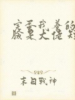 完蛋我养的小白脸是大佬 短剧