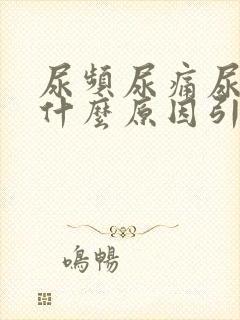 尿频尿痛尿血是什么原因引起的