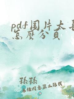 pdf图片太长怎么分页
