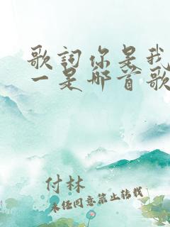 歌词你是我的唯一是哪首歌的歌词