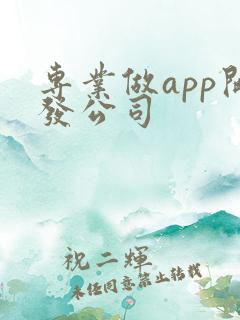 专业做app开发公司