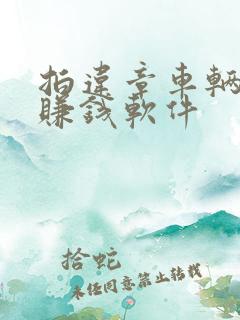 拍违章车辆可以赚钱软件