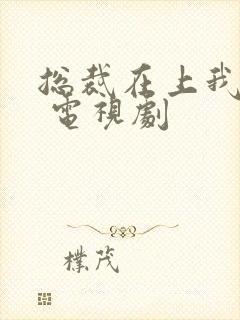 总裁在上我在下 电视剧