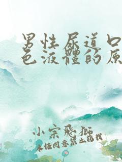 男性尿道口流白色液体的原因