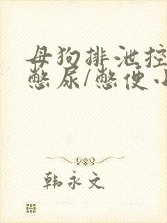 母狗排泄控制/憋尿/憋便小说