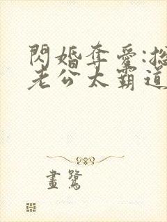 闪婚夺爱:总裁老公太霸道