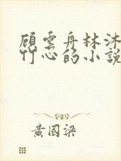 顾云舟林沐瑶沈竹心的小说