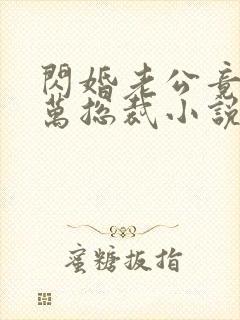 闪婚老公竟是亿万总裁小说