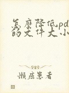 怎么降低pdf的文件大小