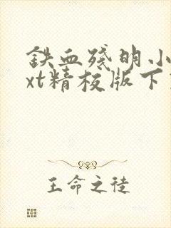 铁血残明小说txt精校版下载