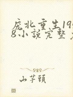 庞北重生1958小说完整免费