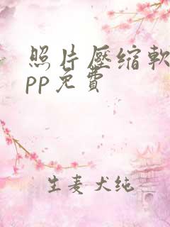 照片压缩软件app免费