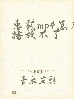 车载mp4怎么播放不了