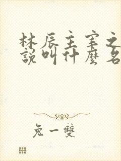 林辰主宰之心小说叫什么名字