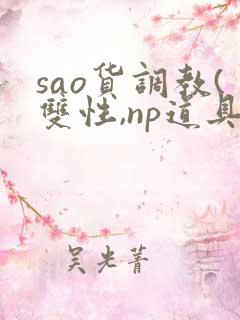 sao货调教(双性,np道具