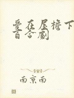 爱在屋檐下泰剧百合剧