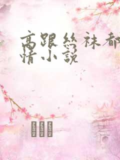 高跟丝袜都市激情小说