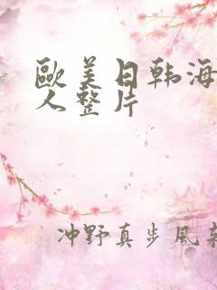 欧美日韩海量华人整片