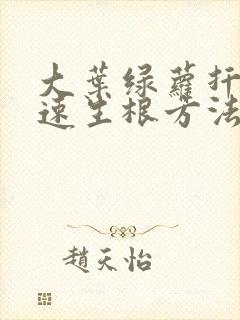 大叶绿萝扦插快速生根方法