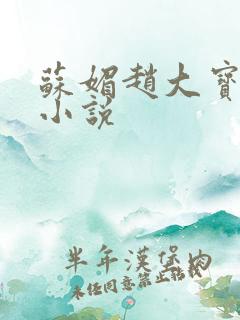 苏媚赵大宝赵勇小说