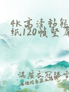 4k高清动态壁纸120帧竖屏