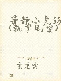 萧静小月的小说(执掌风云)
