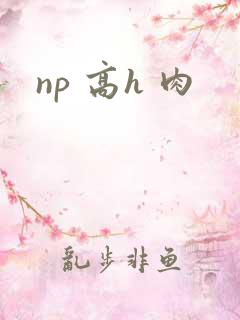 np 高h 肉