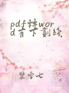 pdf转word有下划线
