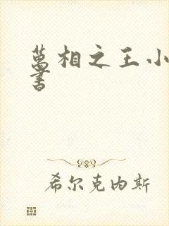 万相之王小说听书