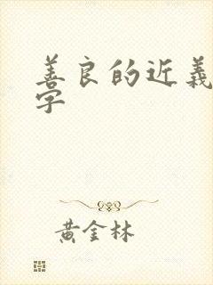 善良的近义词四字