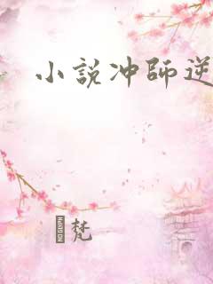 小说冲师逆徒