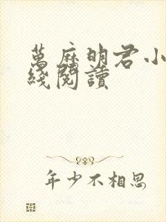 万历明君小说在线阅读
