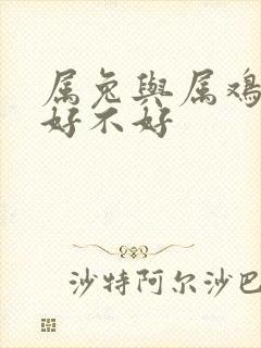 属兔与属鸡婚配好不好