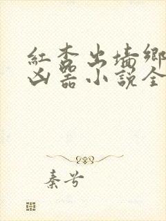 红杏出墙乡村大凶器小说全集小说