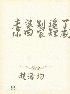 老婆别追了我跟你回家短剧演员介绍
