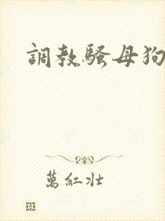 调教骚母狗被艹