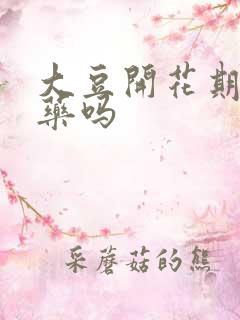大豆开花期能打药吗