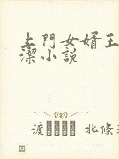 上门女婿王浩李洁小说